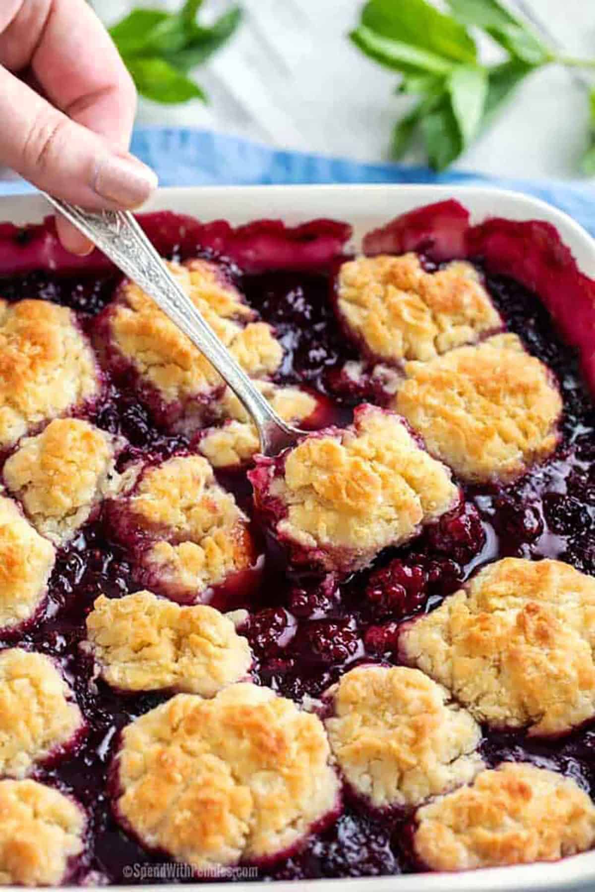 blackberry cobbler - Article 3